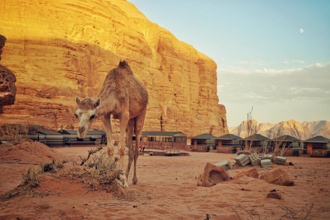 Salman Zwaidh Camp Hotel Wadi Rum Bagian luar foto
